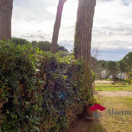 Margaritas Per 4 Persones Amb Vistes A La Pineda Molt A Prop De La Platja I De Apartment *