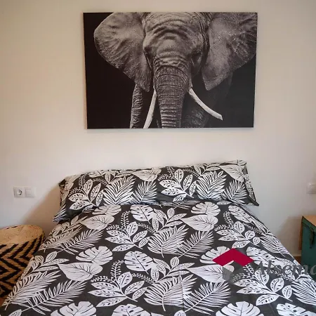 Apartment Margaritas Per 4 Persones Amb Vistes A La Pineda Molt A Prop De La Platja I De Castell-Platja d’Aro